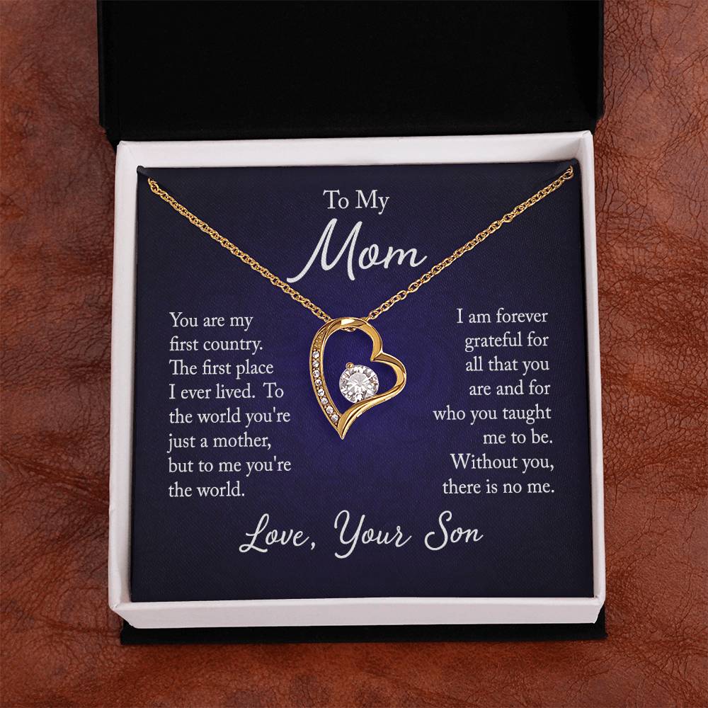 To my mom - you are my first country