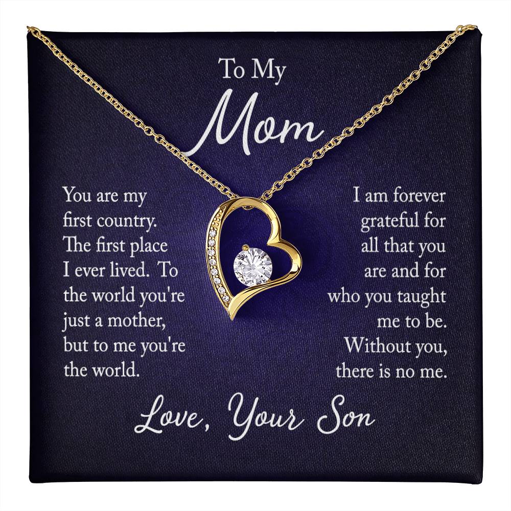 To my mom - you are my first country